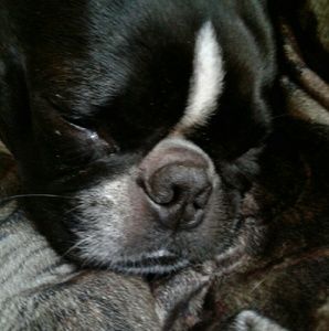 Meet your Posher, Tonna