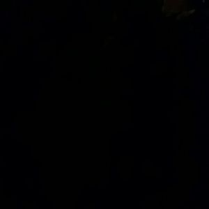 Meet your Posher, Gina