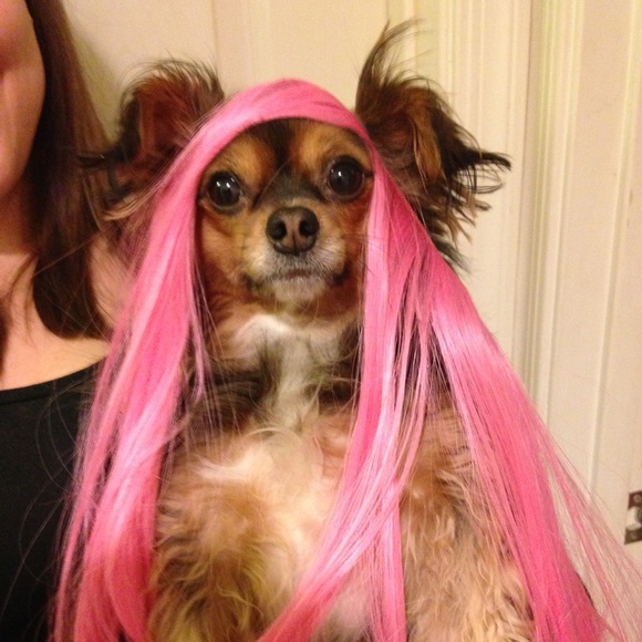 Meet your Posher, Hannah - Picture 1 of 1