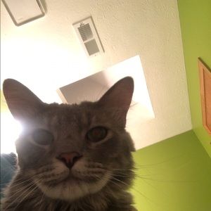 Meet your Posher, Wendy