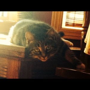 Meet your Posher, Kinsey