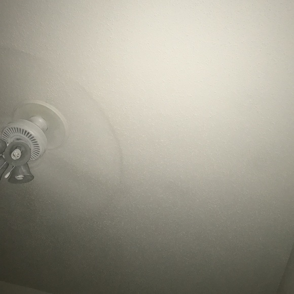 Meet your Posher, Savannah - Picture 1 of 1