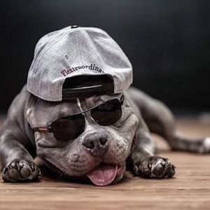 Meet your Posher, Adam