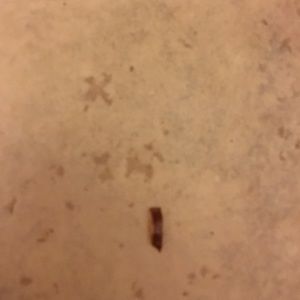 Meet your Posher, Antonio