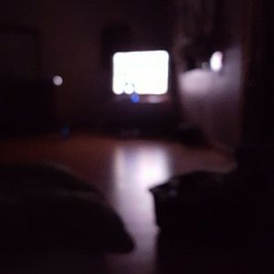 Meet your Posher, Gordon