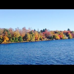 Meet your Posher, Valued