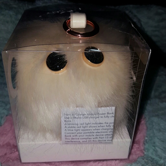 Power bank