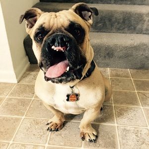 Meet your Posher, Jesse