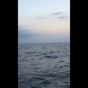 Meet your Posher, Daryl