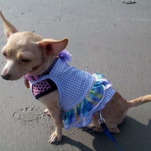 Meet your Posher, Nancy