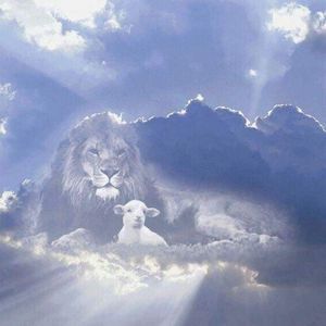 Meet your Posher, Kenneth