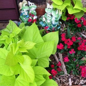 Meet your Posher, Kathy