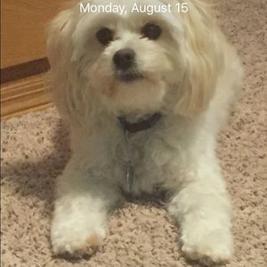 Meet your Posher, Alivia