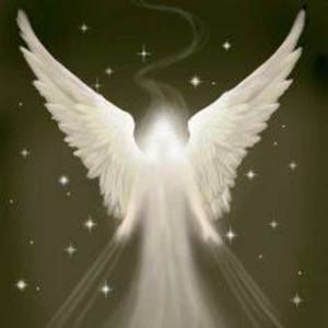 Meet your Posher, Dar