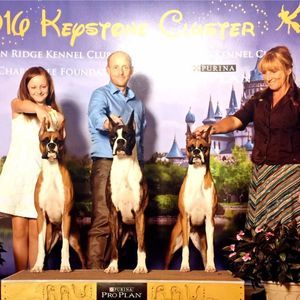 Meet your Posher, Cherish