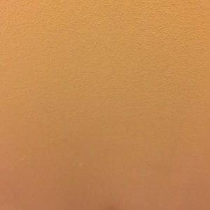 Meet your Posher, Kenneth