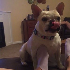 Meet your Posher, Claudia