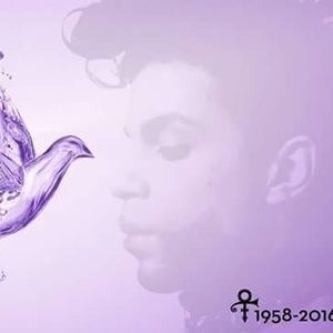 Meet your Posher, Jesse