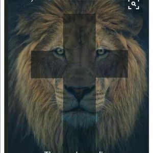 Meet your Posher, Janelle