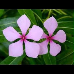 Meet your Posher, Ruby