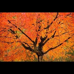 Meet your Posher, Jean