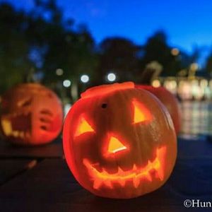 Meet your Posher, Tammie