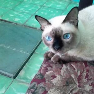 Meet your Posher, Karina