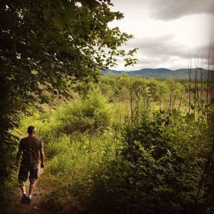 Meet your Posher, Laurie