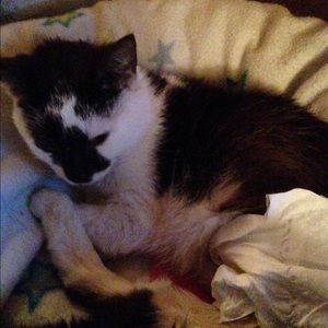 Meet your Posher, Shannon