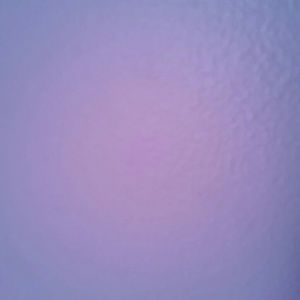 Meet your Posher, Tianna