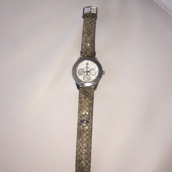 Fossil Watch - Picture 2 of 2