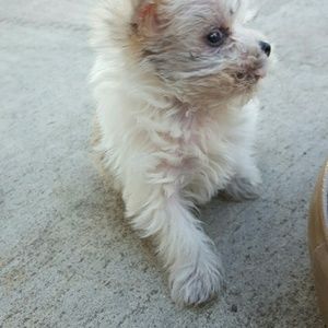 Meet your Posher, Lourdes