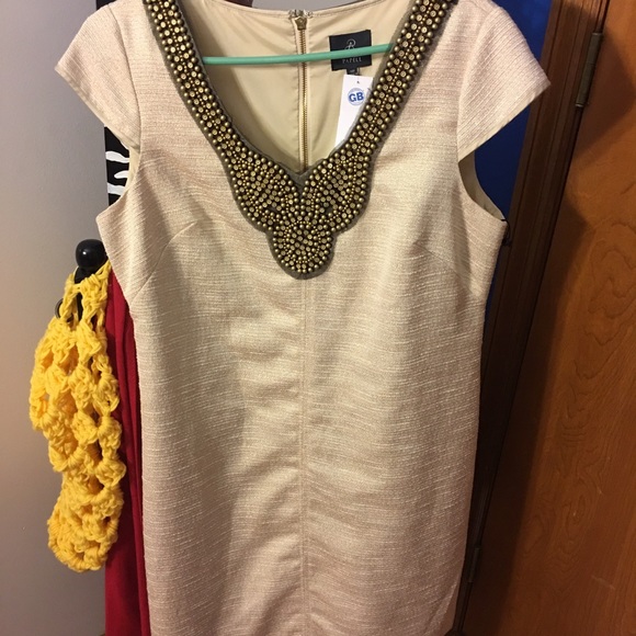 Adrianna Papell dress new with tags.