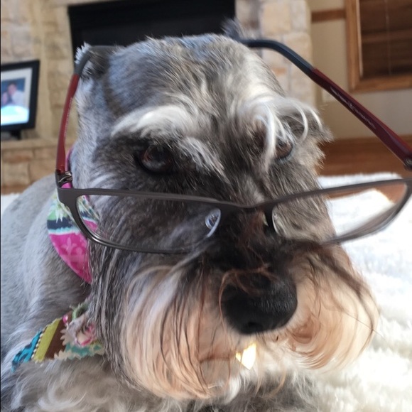 Meet your Posher, Matt - Picture 1 of 1