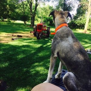 Meet your Posher, Emily