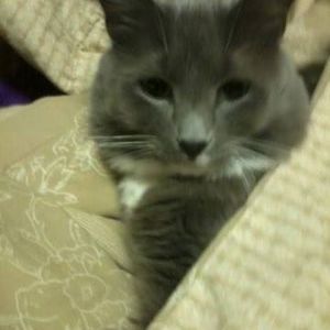 Meet your Posher, Rosanne