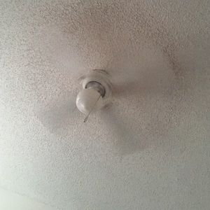 Meet your Posher, Roberto