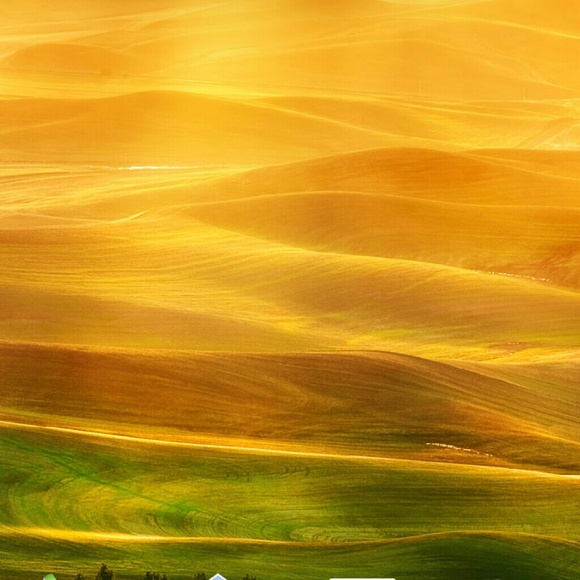 Meet your Posher, Leena