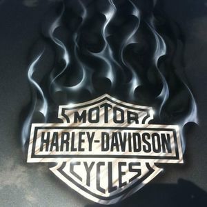 Meet your Posher, Steve