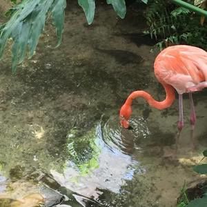 Meet your Posher, Wendy