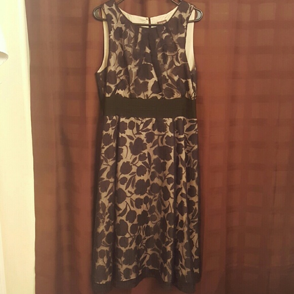 Lace tea length drsss