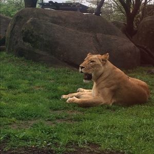 Meet your Posher, Jen