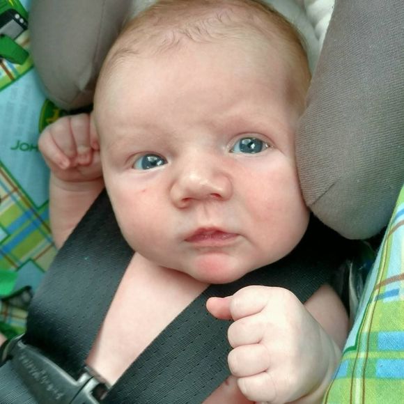 Meet your Posher, Samantha - Picture 1 of 1