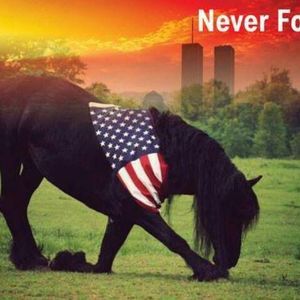 Meet your Posher, Kitty