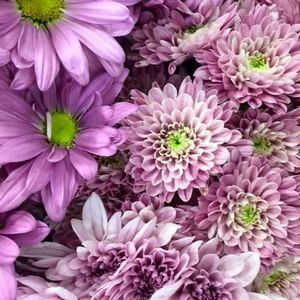 Meet your Posher, Jeni