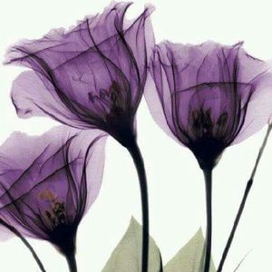 Meet your Posher, Angel