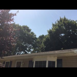 Meet your Posher, Luis