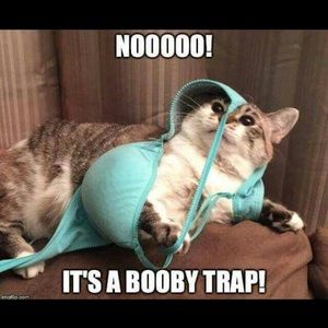 Meet your Posher, Kathleen