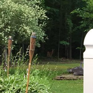 Meet your Posher, Denise