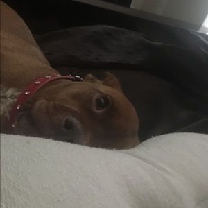 Meet your Posher, Maribel